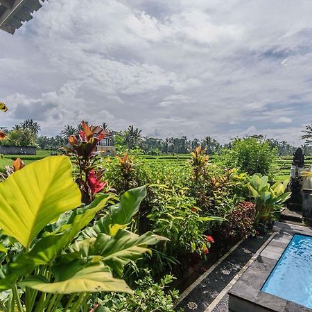 Pondok Anastasia Ubud Esterno foto