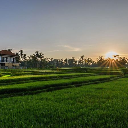 Pondok Anastasia Ubud Esterno foto