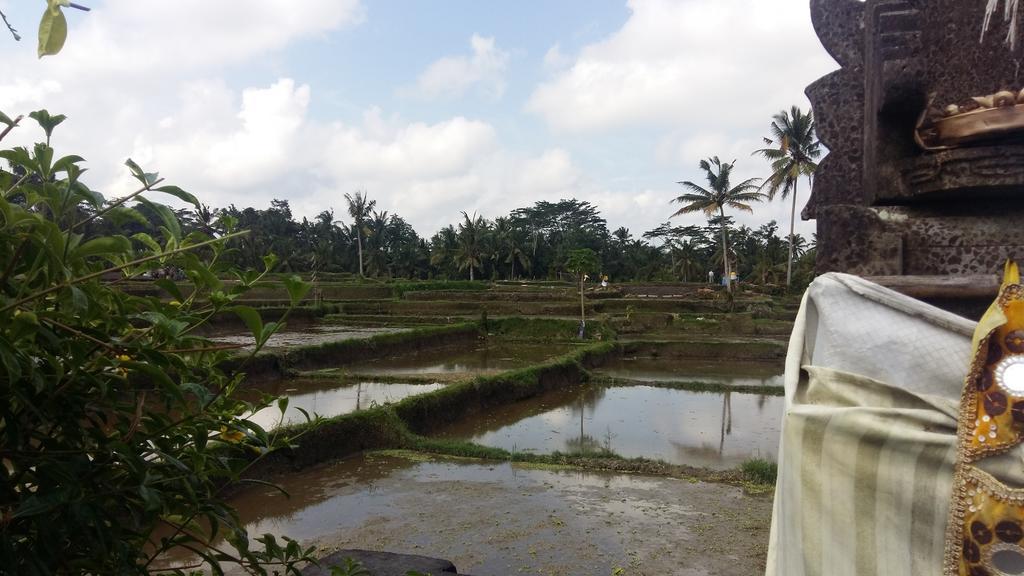Pondok Anastasia Ubud Esterno foto