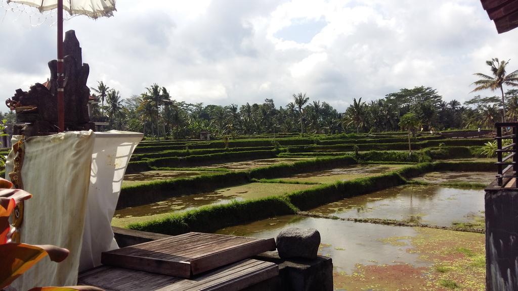 Pondok Anastasia Ubud Esterno foto
