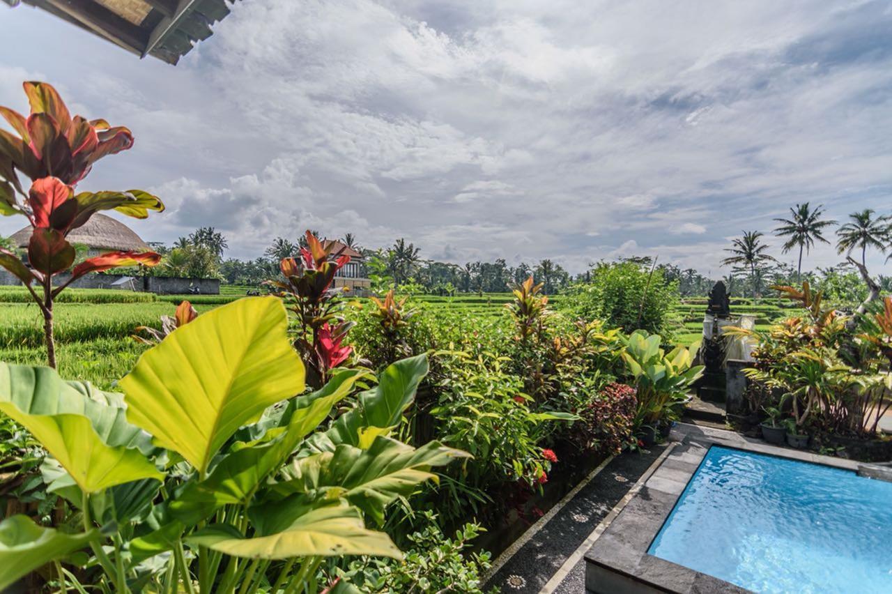 Pondok Anastasia Ubud Esterno foto