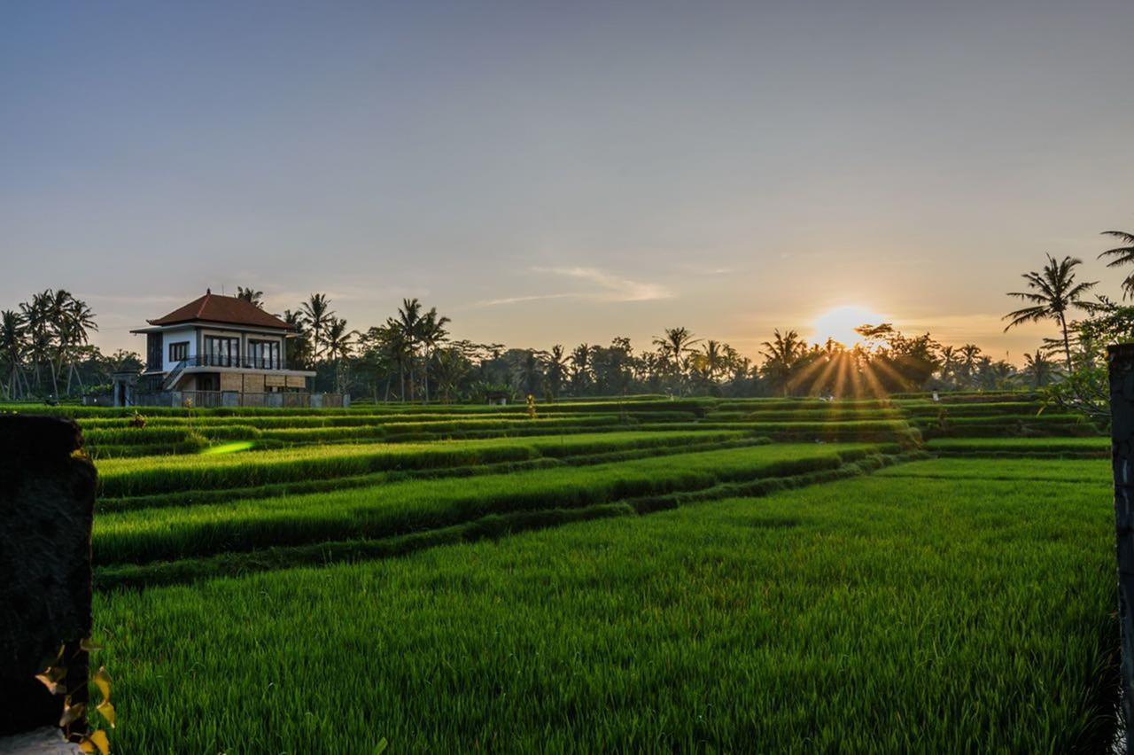Pondok Anastasia Ubud Esterno foto